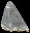 Dogtooth Calcite Crystal - Morocco #50188-1